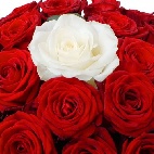 Buchet de trandafiri Te ador