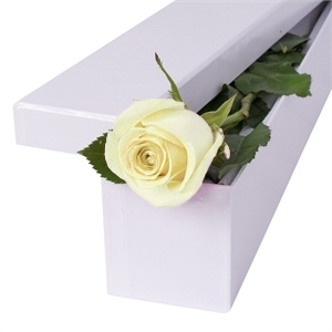 1 fir de trandafir alb in cutie