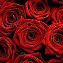 Buchet din 25 de trandafiri rosii
