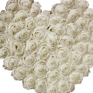 Inima cu trandafiri albi